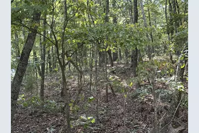 0 Cagle Road NE, Fairmount, GA 30139 - Photo 9