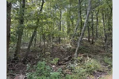 0 Cagle Road NE, Fairmount, GA 30139 - Photo 11