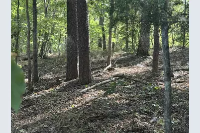 0 Cagle Road NE, Fairmount, GA 30139 - Photo 3