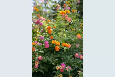 2813 W Roxboro Road NE, Atlanta, GA 30324 - Photo 107