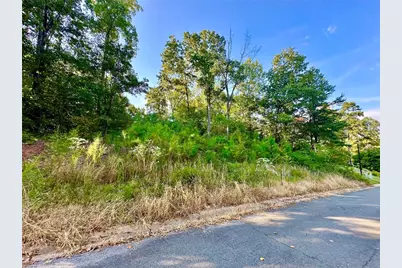 98 Magnolia Ridge, Summerville, GA 30747 - Photo 7