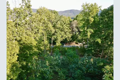 98 Magnolia Ridge, Summerville, GA 30747 - Photo 3