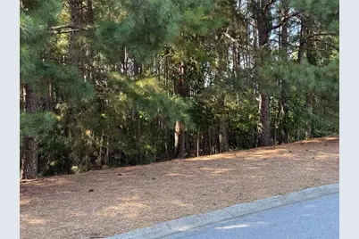 310 Burgess Mill Trail, Suwanee, GA 30024 - Photo 3