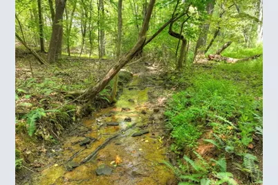 77 Alpine Way, Blairsville, GA 30512 - Photo 3