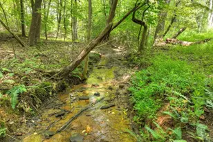 77 Alpine Way, Blairsville, GA 30512 - Photo 3