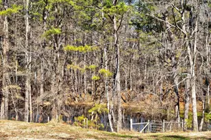 1060 Birmingham Rd, Milton, GA 30004 - Photo 35