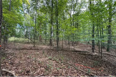 0 Old Stilesboro Road #2, Kennesaw, GA 30152 - Photo 3