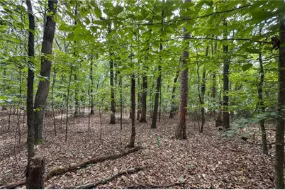 0 Old Stilesboro Road #3, Kennesaw, GA 30152 - Photo 23