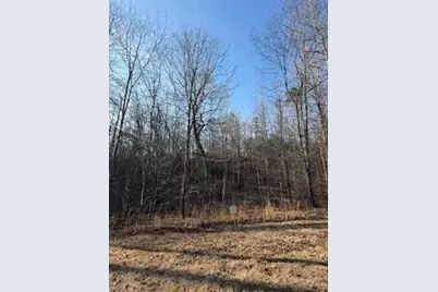 166 N Laceola Road, Cleveland, GA 30528 - Photo 21