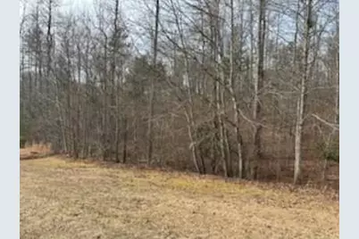 166 N Laceola Road, Cleveland, GA 30528 - Photo 9