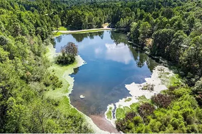 328 Morton Drive, Ellijay, GA 30540 - Photo 33