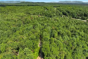 328 Morton Dr, Ellijay, GA 30540 - Photo 29