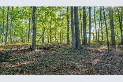 0 Myrtle Drive, Dahlonega, GA 30533 - Photo 17