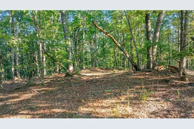 0 Myrtle Drive, Dahlonega, GA 30533 - Photo 19