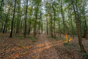 195 Sims Farm Wy, Maysville, GA 30558 - Photo 49