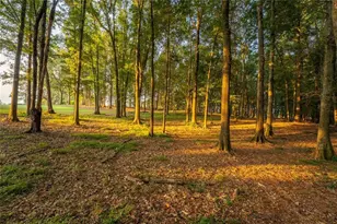 195 Sims Farm Wy, Maysville, GA 30558 - Photo 61