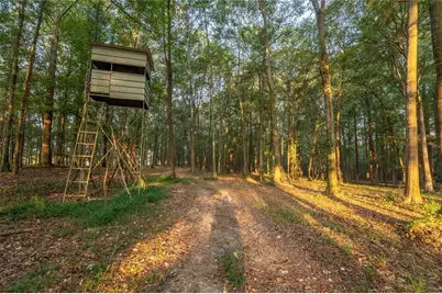 195 Sims Farm Way, Maysville, GA 30558 - Photo 59