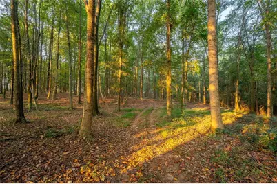 195 Sims Farm Way, Maysville, GA 30558 - Photo 63