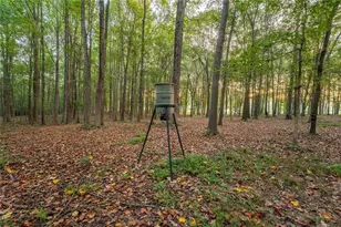 195 Sims Farm Wy, Maysville, GA 30558 - Photo 47