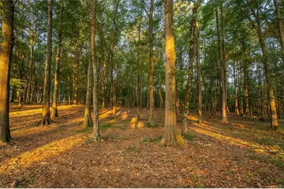 195 Sims Farm Way, Maysville, GA 30558 - Photo 55