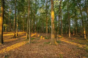 195 Sims Farm Wy, Maysville, GA 30558 - Photo 55