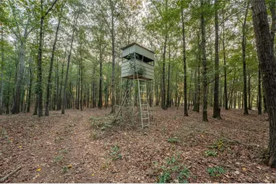 195 Sims Farm Way, Maysville, GA 30558 - Photo 55