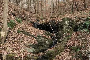 55 Sweetwater Way, Lula, GA 30554 - Photo 9