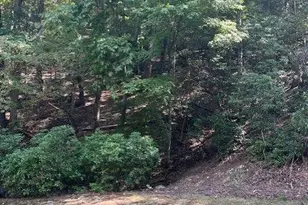 182 Morse Elm Loop, Waleska, GA 30183 - Photo 1