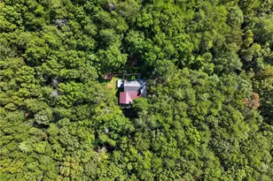 55 Tickanetley Ln, Ellijay, GA 30536 - Photo 35