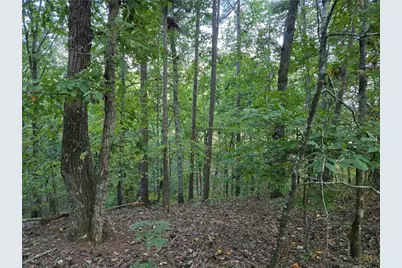 0 Old Goodie Mtn Road SE, Cartersville, GA 30120 - Photo 3