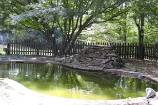 3487 Samantha Dr, Buford, GA 30519 - Photo 49