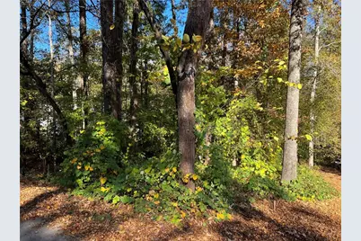 130 Valley Drive, Stockbridge, GA 30281 - Photo 5