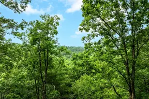 193 Alm Ln, Ellijay, GA 30540 - Photo 7