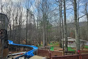 56 Canyon Pass, Cleveland, GA 30528 - Photo 23