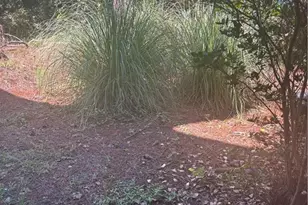 9 Willowick Dr, Lithonia, GA 30038 - Photo 25