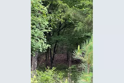 0 Culpepper Road, Calhoun, GA 30701 - Photo 5