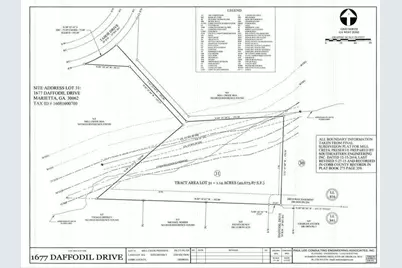 1677 Daffodil Drive, Marietta, GA 30062 - Photo 3