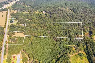 4267 Buchanan Hwy, Buchanan, GA 30113 - Photo 1