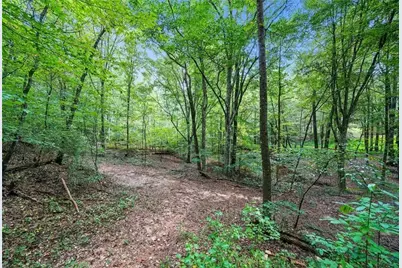 857 Jack Page Drive, Canton, GA 30115 - Photo 41