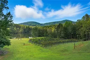 199 Tabitha Dr, Jasper, GA 30143 - Photo 81