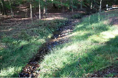 2229 Long Road, Ball Ground, GA 30107 - Photo 79