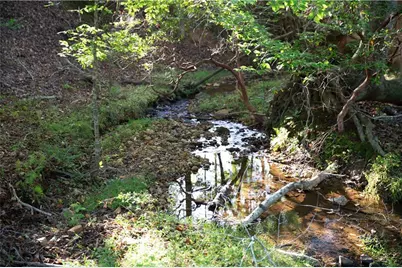 2229 Long Road, Ball Ground, GA 30107 - Photo 81