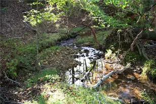 2229 Long Rd, Ball Ground, GA 30107 - Photo 81