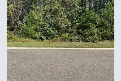 1381 Larose Drive, Hoschton, GA 30548 - Photo 3
