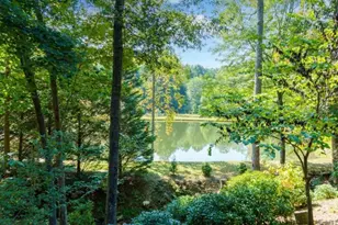 35 Wunder Bear Ridge Rd, Morganton, GA 30560 - Photo 79