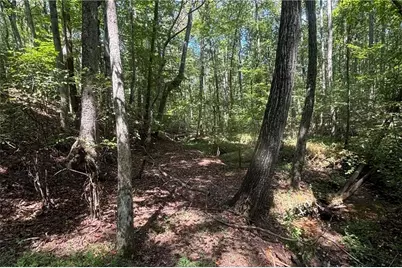 9700 S Helton Road, Winston, GA 30187 - Photo 59