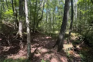 9700 S Helton Rd, Winston, GA 30187 - Photo 59