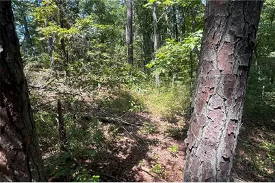 9700 S Helton Road, Winston, GA 30187 - Photo 57