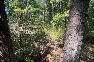 9700 S Helton Rd, Winston, GA 30187 - Photo 57