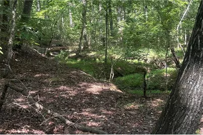 9700 S Helton Road, Winston, GA 30187 - Photo 61